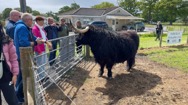 Invergordon: Ausflug zu Loch Ness und Burgen