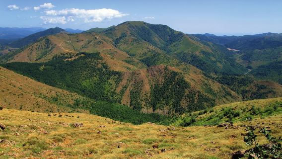 Công viên Capanne di Marcarolo: đi bộ trên Núi Tobbio