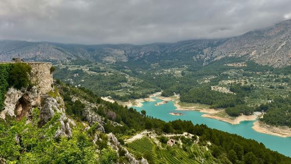 Premium Winery with 7 Tastings & Castle from Alicante and Benidorm