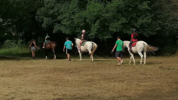 Horseback Ride Along the Adige River in Verona