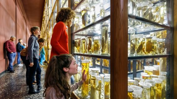 Berlín: Entrada al Museo de Historia Natural