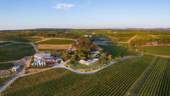 McLaren Vale North: Hop-On Hop-Off Tour
