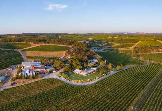 McLaren Vale North: Hop-On Hop-Off Tour AUD 95.09