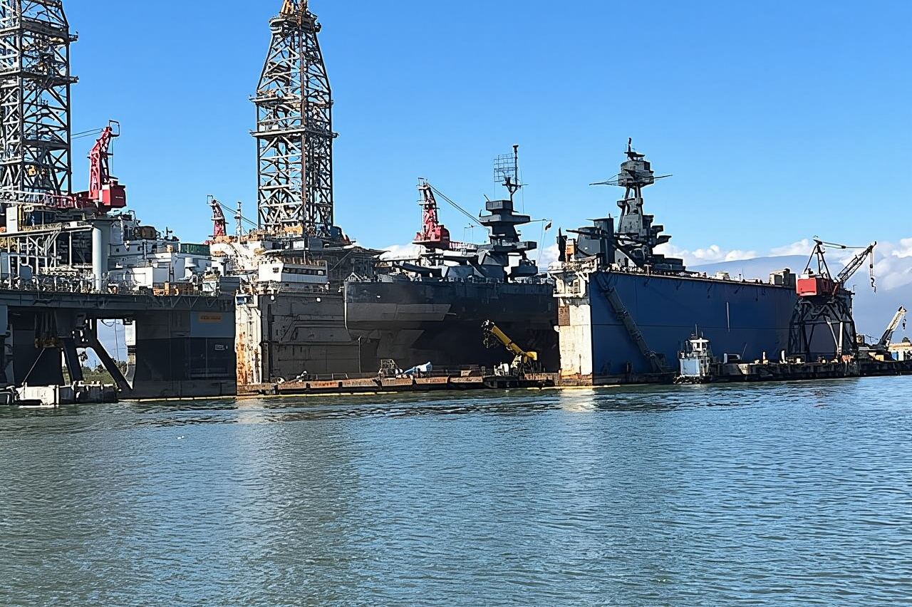 Galveston: Crucero de avistamiento de delfines