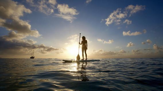 Honolulu: Corso introduttivo allo Stand-Up Paddling