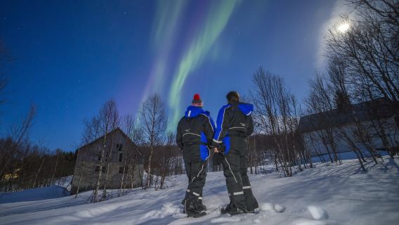 Tromsø: ทัวร์ชมแสงเหนือด้วยรถมินิบัสกระจกพร้อมอาหารค่ำ