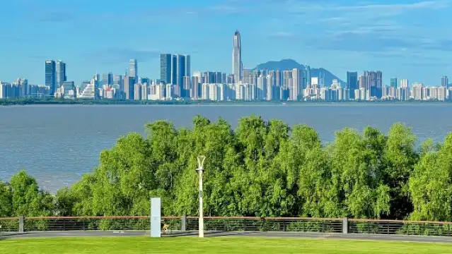 Shenzhen: Lian Hua Shan Park + Talent Park + Dameisha|Customized car and driver in multiple languages including Chinese and English