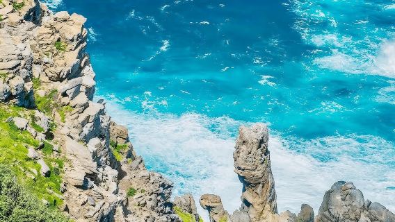 Tour ghép Cape Town & Gặp gỡ chim cánh cụt tại Mũi Hảo Vọng, Nam Phi