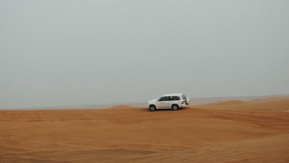 Từ Jerusalem: Tham quan Biển Chết và Safari Sa mạc