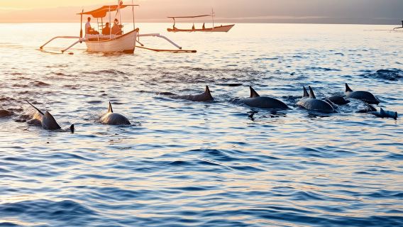 Pengalaman Menonton Lumba-lumba & Berenang Semasa Matahari Terbit di Bali Lovina