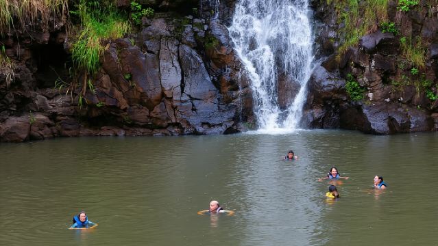 ノースショア＆ワイメア滝ツアー