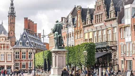 Teylers Museum + Grote Markt + Archeological Museum Haarlem + Het Dolhuys day tour