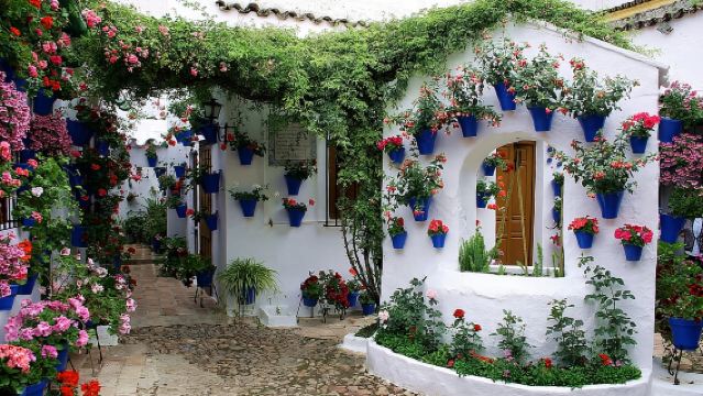 Достопримечательности, звуки и ароматы патио Кордовы