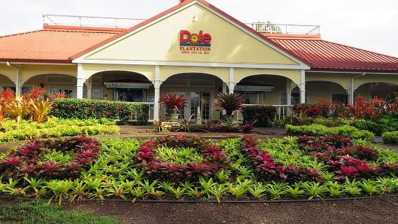 ทัวร์เกาะ Oahu Ultimate Circle ประสบการณ์เต็มวัน