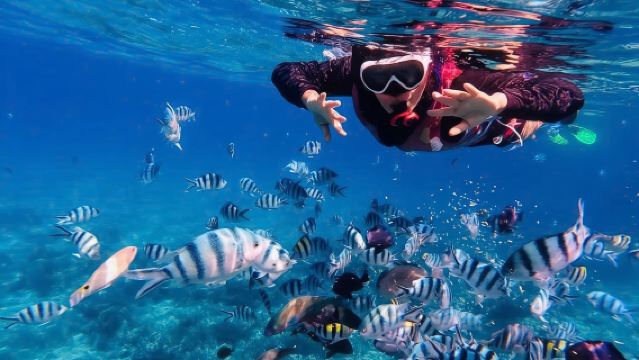 Snorkeling at Mun Island 1 day tour from Nha Trang, Viet Nam
