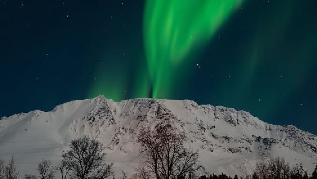 Tromsø: Caccia all'Aurora tutto incluso con foto, cibo e bevande