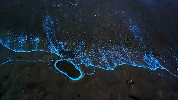 平潭島追藍眼淚【專業領隊帶+上門接駁+提供抄網、鞋套】