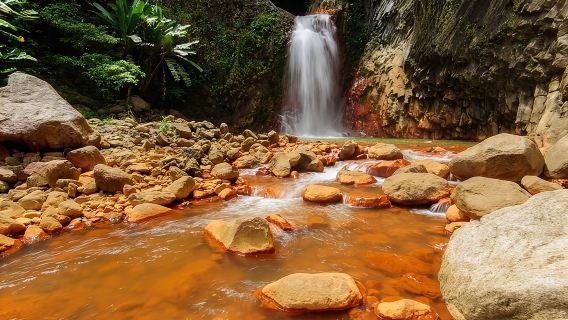 Circuit privatisé des chutes de Pulangbato et des sources chaudes au départ de Dumaguete