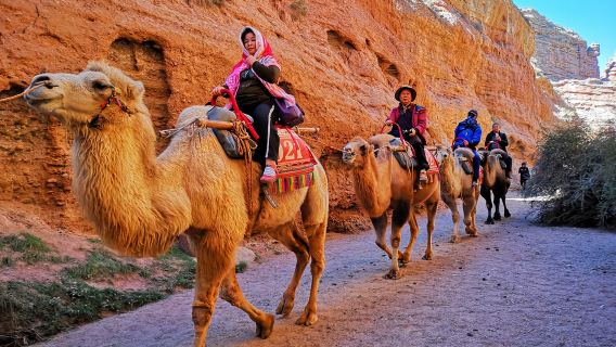 張掖平山湖大峽谷半日遊上午/下午場【品質4人精緻小團可選】