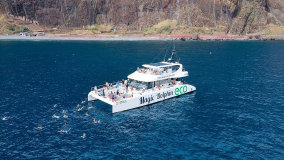 Madeira Dolphin and Whale Watching on a Ecological Catamaran