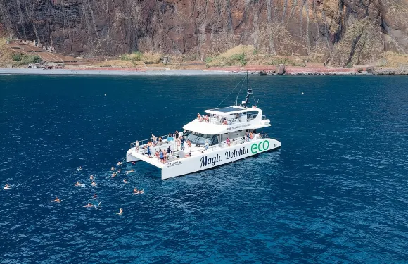 搭乘生態雙體船觀賞馬德拉島海豚和鯨魚