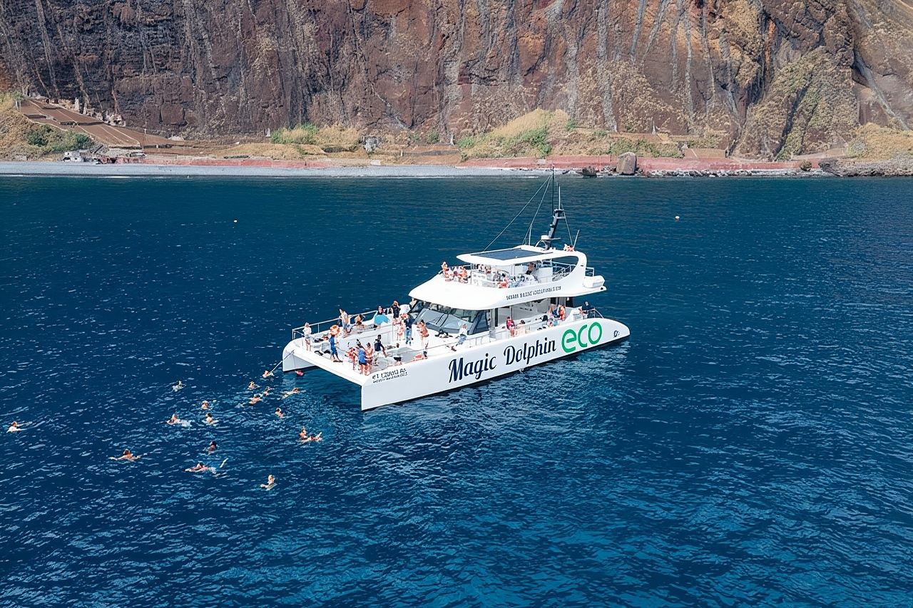 Madeira Dolphin and Whale Watching on a Ecological Catamaran