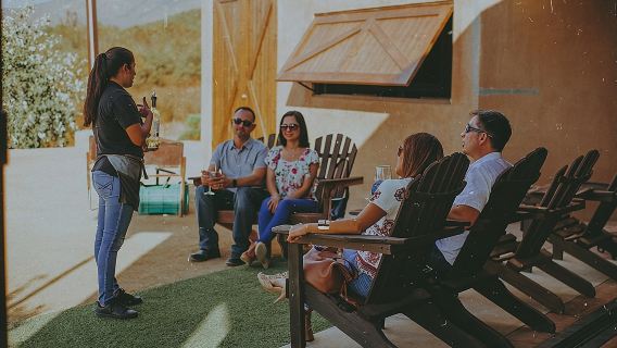 Xecue Wine Tasting in the Guadalupe Valley