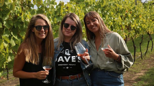 소규모 그룹 헌터 밸리 와인 투어 (점심, 진, 치즈 & 초콜릿 포함)