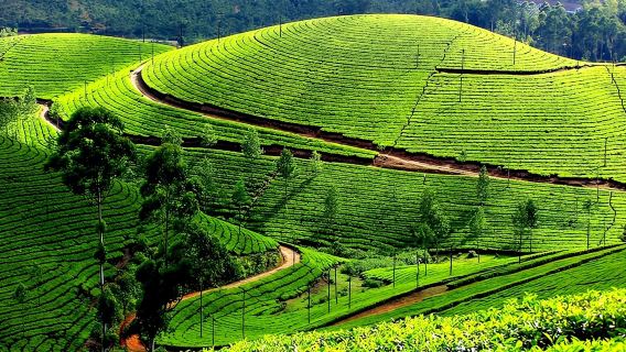 KochiTours