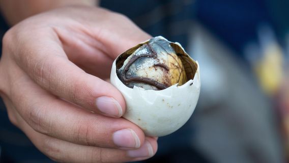 Hoi An Food Tour by Motorbike with Tastings and Dinner