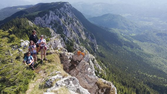 BrasovTours