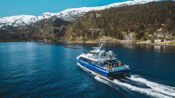 Mostraumen Fjordkreuzfahrt