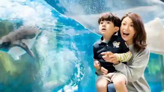 香港海洋公園 + 香港海洋公園水上樂園一日遊