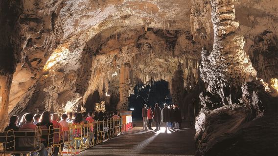Highlights of Slovenia - Postojna & Bled (Tickets included)