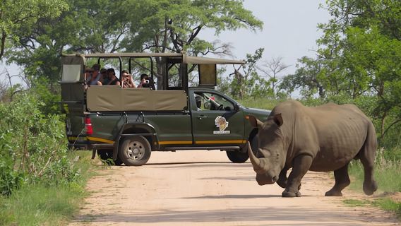 HazyviewTours