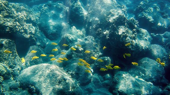 Hawaii islandExperiences