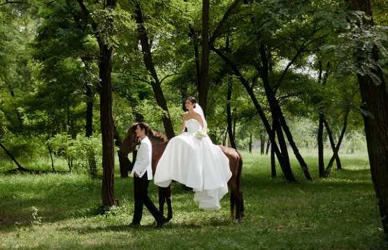 伊寧市Trip Moments【賽里木湖跟拍約拍攝影婚紗攝影微電影航拍影片剪輯】