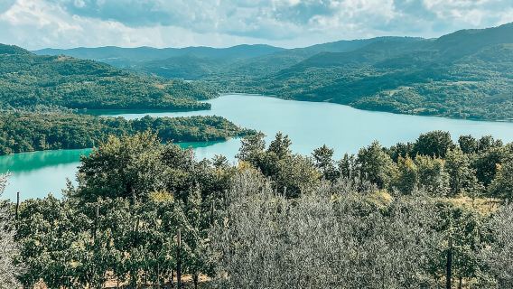 Private Truffle Hunting with Cooking Session