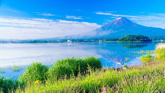 大石公園 + 大涌谷 + 河口湖 + 箱根チャーター車日帰りツアー