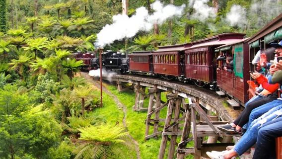 BelgraveTours