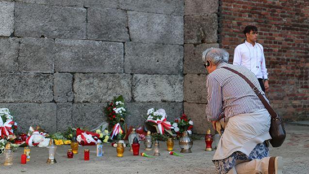Auschwitz Birkenau: Tour Guidato in Diretta con Trasporto e Prelievo dall'Hotel