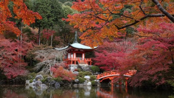 日本大阪來回-瑠璃光院-三千院-貴船神社-紅葉巡禮紅葉季.