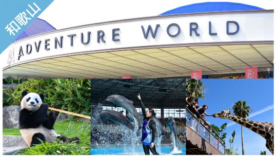Have Fun in Wakayama Pass (Optional Adventure World admission ticket) - Choose 3 of 7 Days