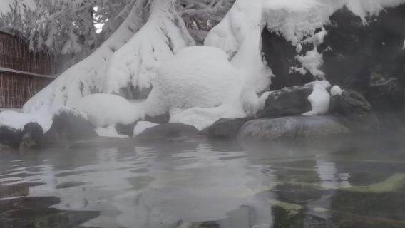 日本札幌白色戀人公園-北海道神宮-藻岩山【北海道中文專車】