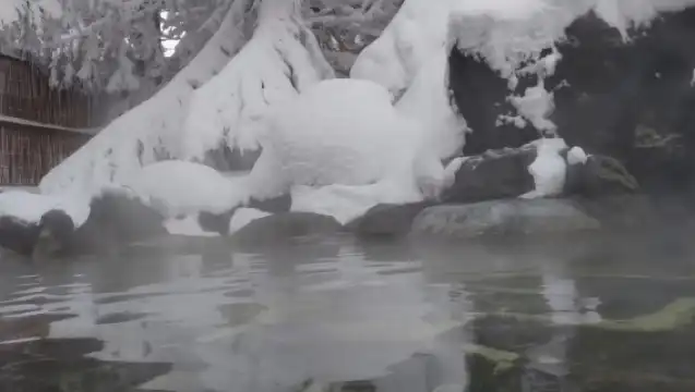 日本札幌北海道大學-羊之丘展望台-二條市場【北海道中文專車】