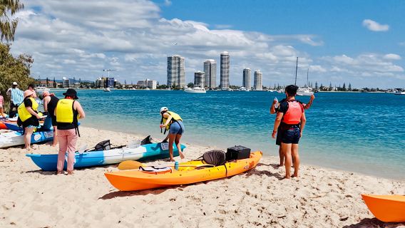 ゴールドコースト防波堤島カヤック体験【シュノーケリング付き/イルカ遭遇率80%/様々な海洋生物と触れ合える/カヤック経験不要/複数期間可】