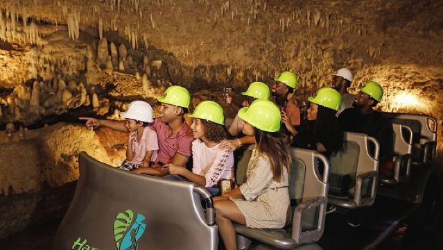 Cave & Monkey Zipline Experience at Harrison's Cave by Chukka