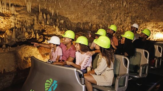 Harrison's Cave Tour & Monkey Zipline, Barbados
