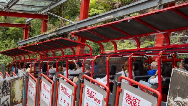 Blue Mountains Day Tour: Zoo, Scenic World & Three Sisters