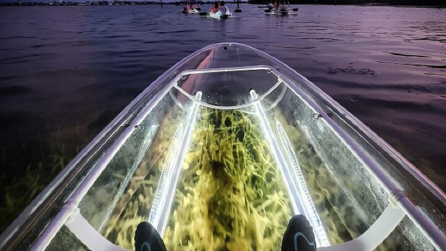 Siesta Key, FL - Tour notturno con fondo in vetro a LED in kayak trasparente